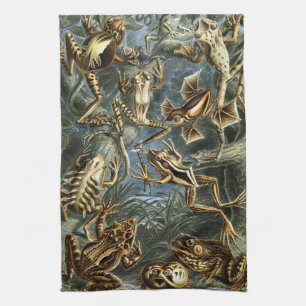 Haeckel Frogs Tea Towel