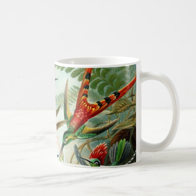Haeckel Hummingbirds Coffee Mug (Right)