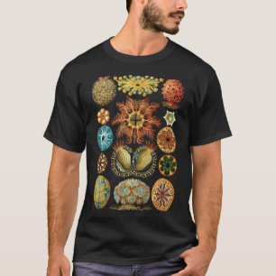 Haeckel Illustration T-Shirt