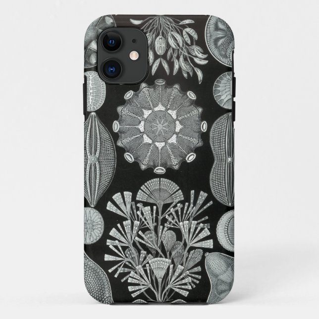 Haeckel iPhone Case - Diatomea (Back)