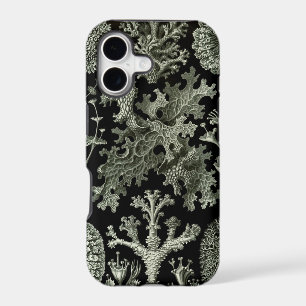 Haeckel iPhone Case - Lichenes