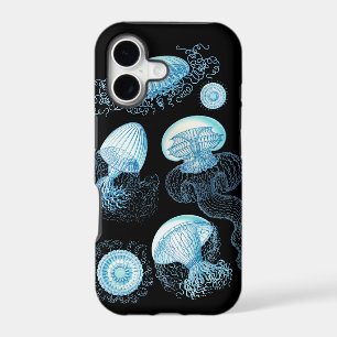 Haeckel Jellyfish