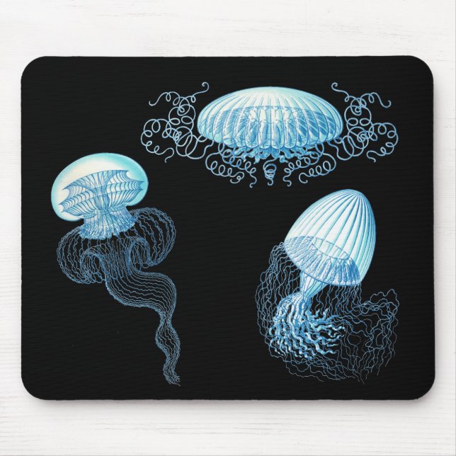 Haeckel Jellyfish Mouse Pad (Front)