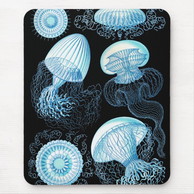 Haeckel Jellyfish Mouse Pad (Front)