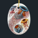 Haeckel Jellyfish Ornament<br><div class="desc">Ornament featuring vintage Haeckel illustration of various species of Jellyfish.</div>