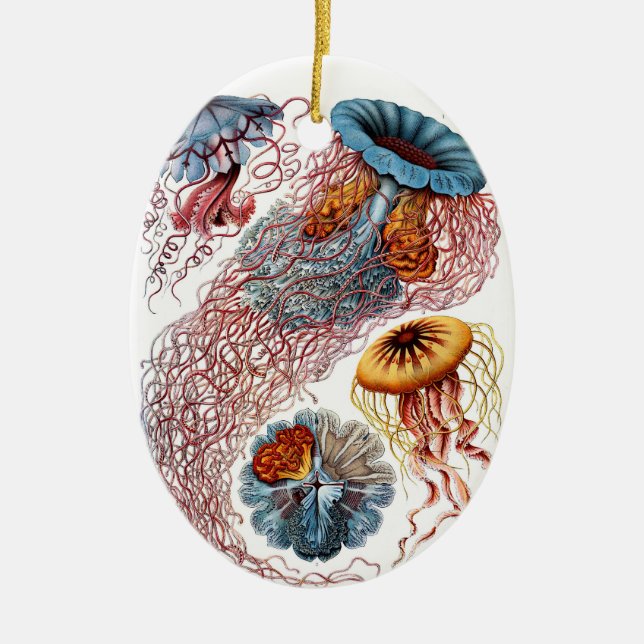 Haeckel Jellyfish Ornament (Front)