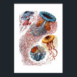 Haeckel Jellyfish Print<br><div class="desc">Vibrant print of vintage Haeckel Jellyfish illustration.</div>