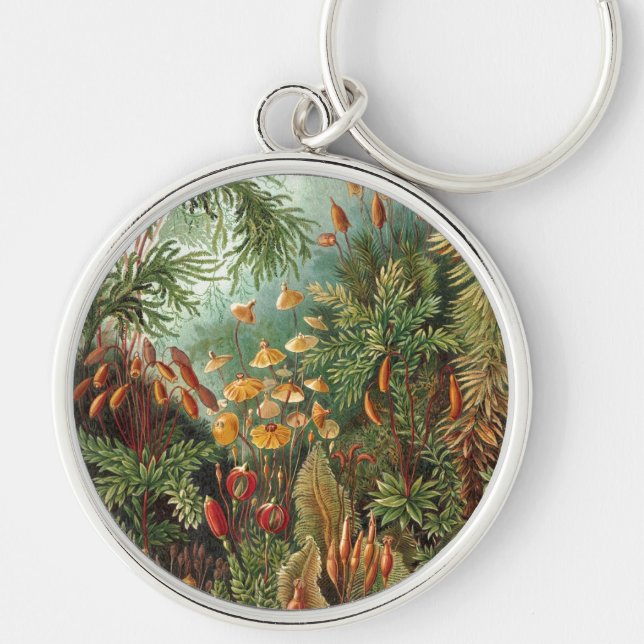Haeckel Key Ring (Front)