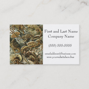 Haeckel Lizard Bearded Dragon Iguana Painting Business Card