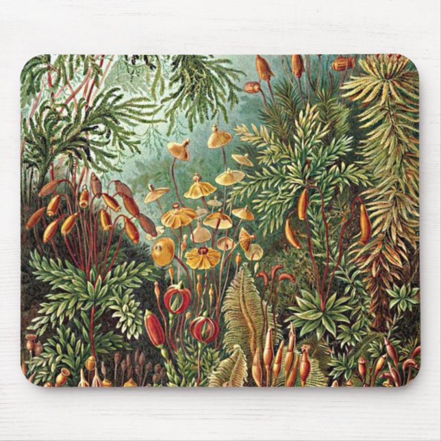 Haeckel Moss, Grass, and Fungus Mushroom Painting Mouse Pad (Front)