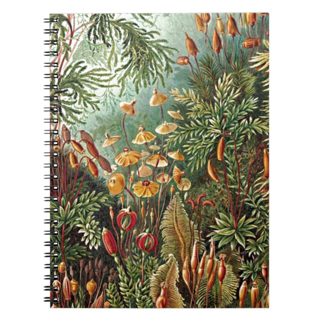 Haeckel Moss, Grass, and Fungus Mushroom Painting Spiral Notebook (Front)