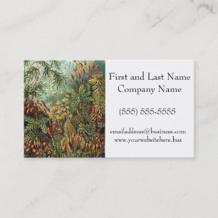 Haeckel Moss Grass Mushroom Painting Business Card