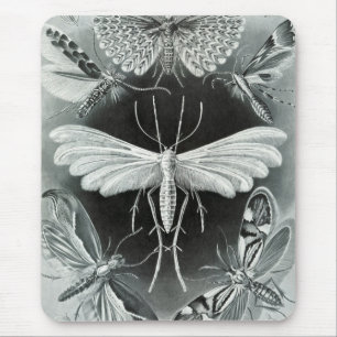 Haeckel Moths Mouse Pad