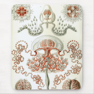 Haeckel Mouse Pad