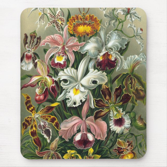 Haeckel Mouse Pad (Front)