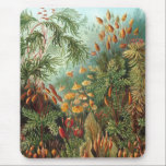 Haeckel Mouse Pad<br><div class="desc">Haeckel mousepad.</div>