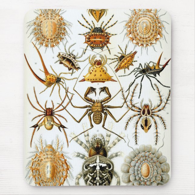 Haeckel Mouse Pad (Front)