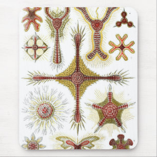 Haeckel Mouse Pad