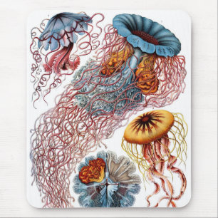Haeckel Mouse Pad