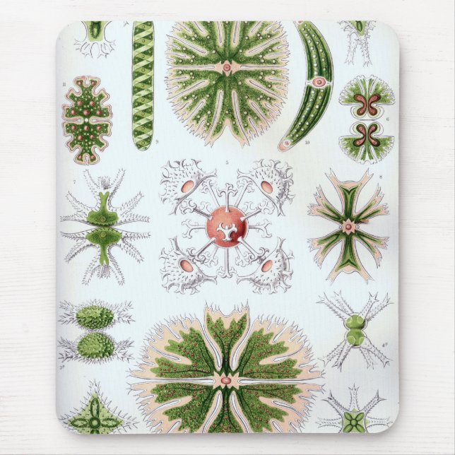 Haeckel Mouse Pad (Front)