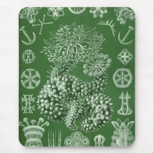 Haeckel Mouse Pad