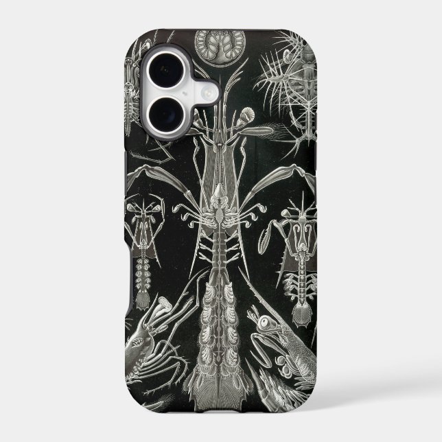 Haeckel Negative (Back)
