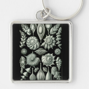 Haeckel Negative Key Ring