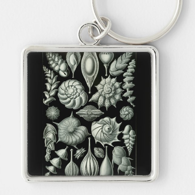 Haeckel Negative Key Ring (Front)