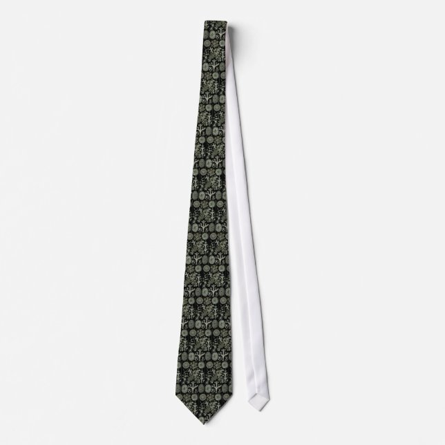 Haeckel Negative Tie (Front)