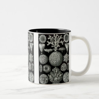 Haeckel Negative Two-Tone Coffee Mug