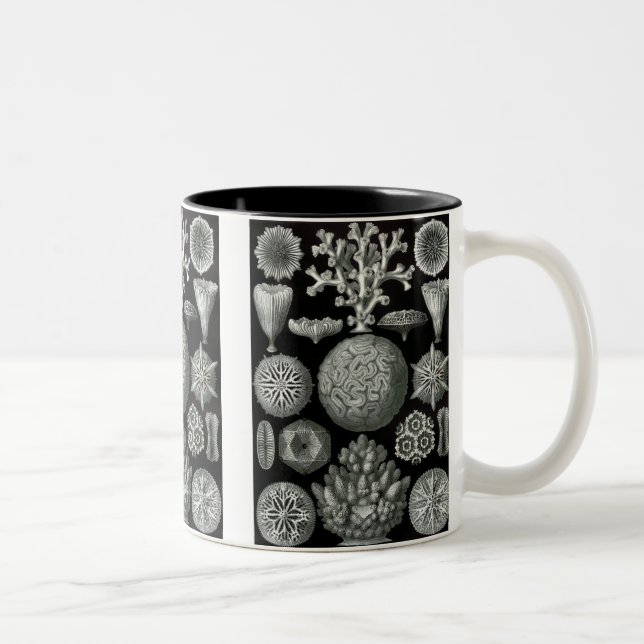 Haeckel Negative Two-Tone Coffee Mug (Right)