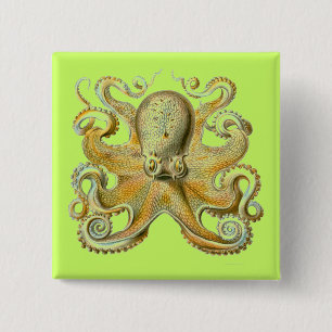 Haeckel Octopus 15 Cm Square Badge
