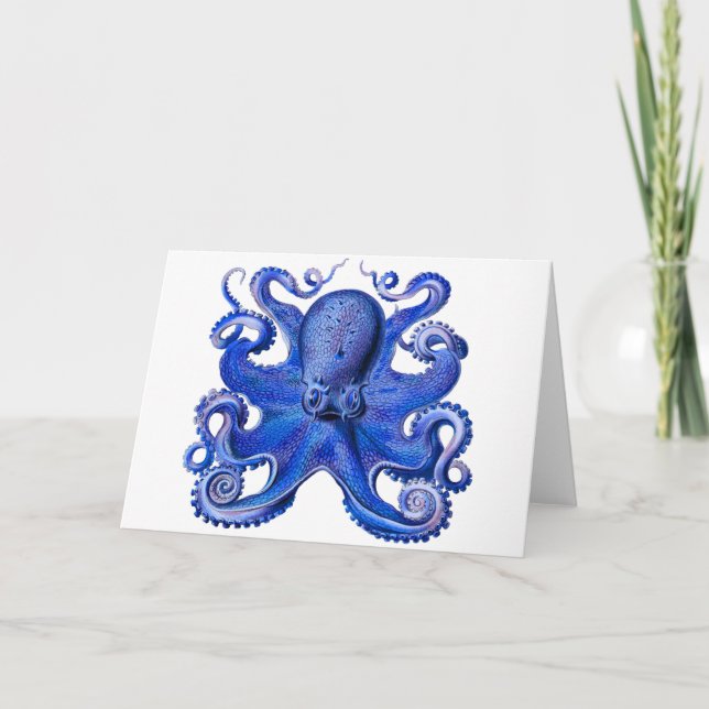 Haeckel Octopus Blue Card (Front)