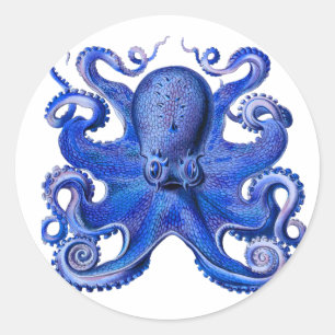 Haeckel Octopus Blue Classic Round Sticker