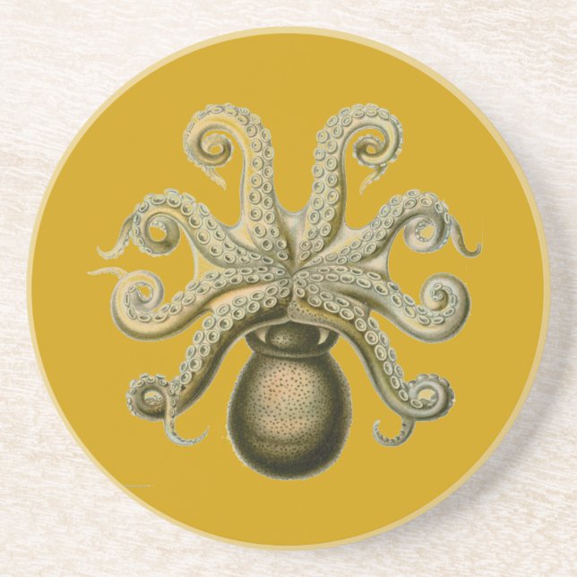 Haeckel Octopus Coaster (Front)