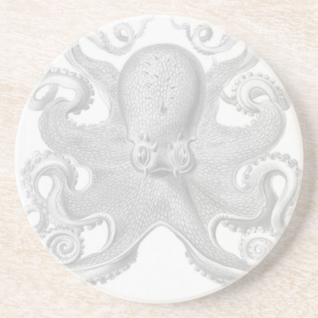 Haeckel Octopus Coaster (Front)