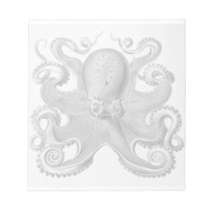 Haeckel Octopus Notepad