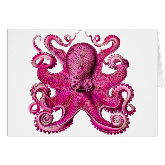 Haeckel Octopus Pink (Front Horizontal)