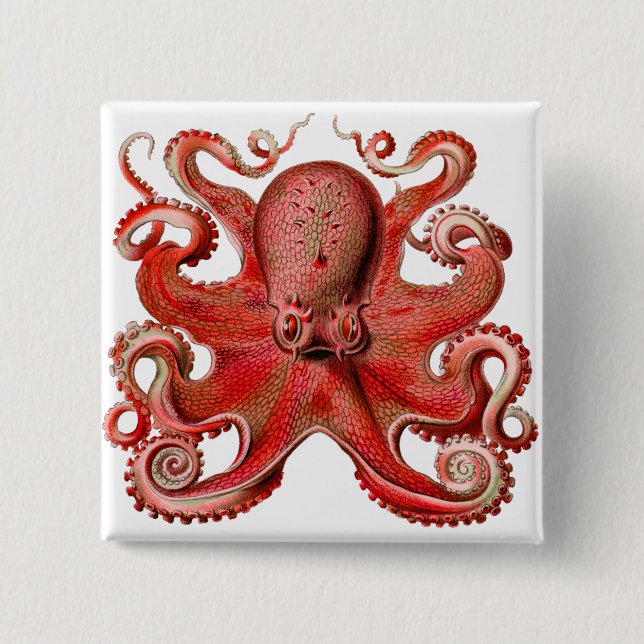 Haeckel Octopus Red 15 Cm Square Badge (Front)