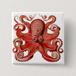 Haeckel Octopus Red 15 Cm Square Badge