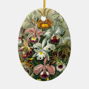Haeckel Orchids Ceramic Tree Decoration