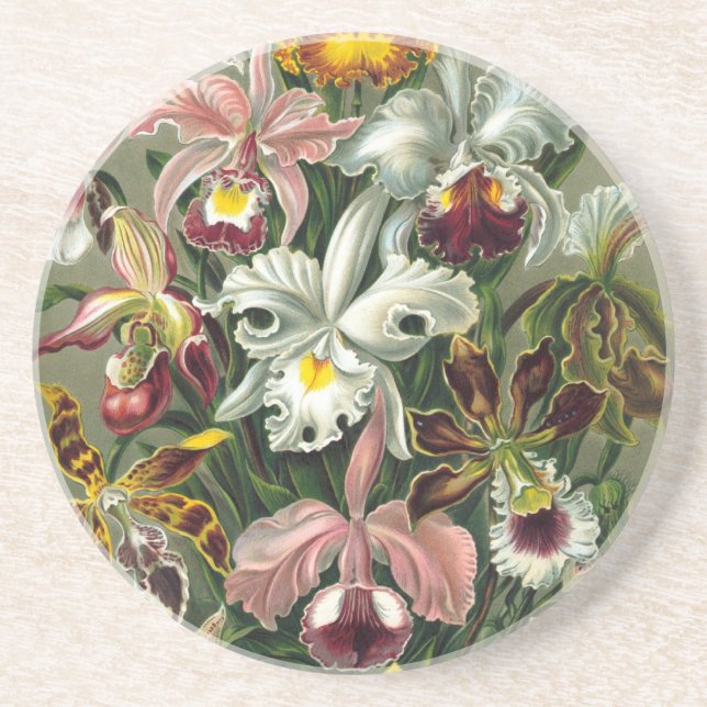 Haeckel Orchids Coaster (Front)