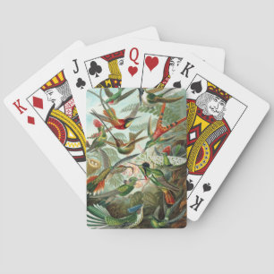 Haeckel Playing Cards