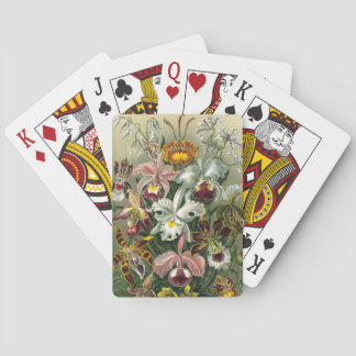 Haeckel Playing Cards