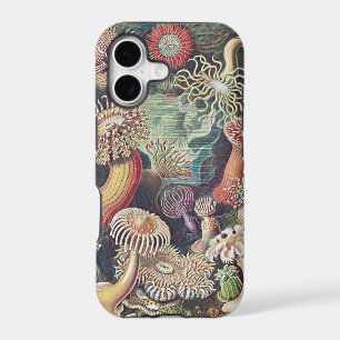 Haeckel Sea Anemone Art iPhone Case