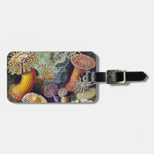 Haeckel Sea Anemone Ocean Life Nature Art Painting Luggage Tag
