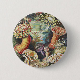 Haeckel Sea Anemones Nautical Sea Life Art Collage 6 Cm Round Badge