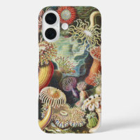 Haeckel Sea Anemones Nautical Sea Life Art Collage