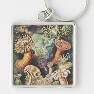 Haeckel Sea Anemones Nautical Sea Life Art Collage Key Ring