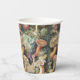 Haeckel Sea Anemones Nautical Sea Life Art Collage Paper Cups